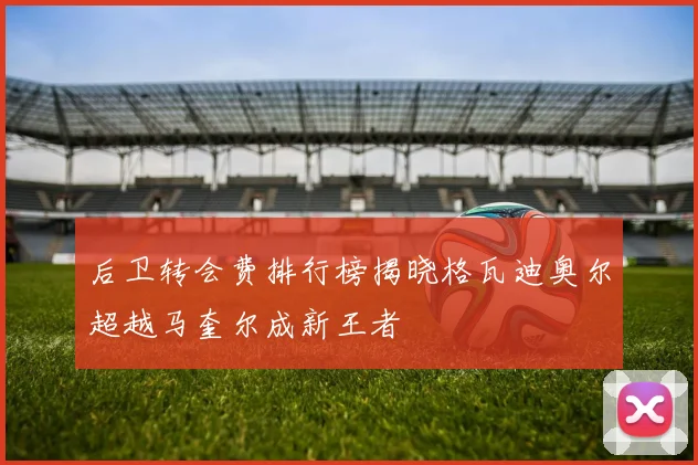 后卫转会费排行榜揭晓格瓦迪奥尔超越马奎尔成新王者